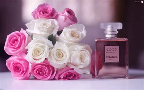 róże chanel|Rose Perfumes .